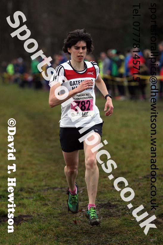 Senior womens North Eastern Cross Country, Aykley Heads, Durham. Photo: David T. Hewitson/Sports for All Pics